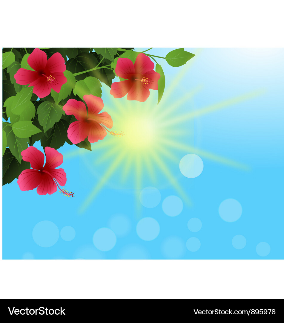 Nature background Royalty Free Vector Image - VectorStock