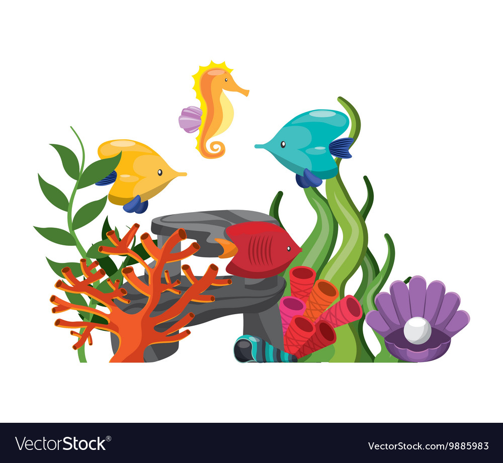 Algae coral fish oyster shell and sea horse icon