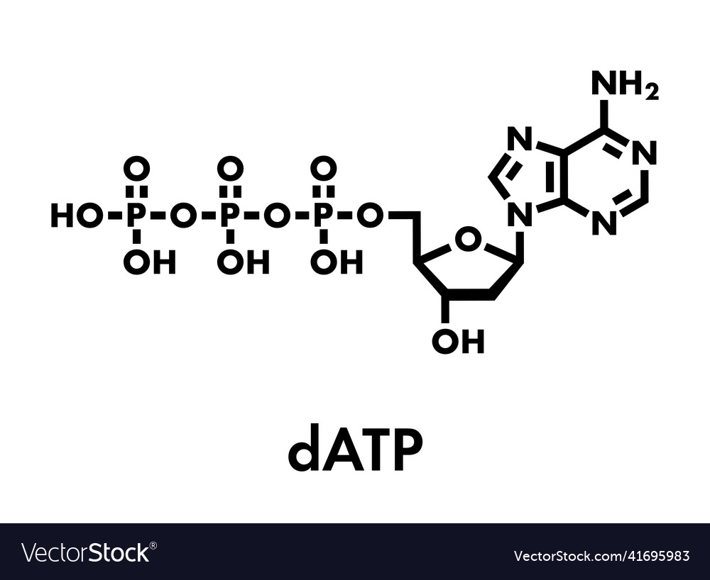 Deoxyadenosine triphosphate datp nucleotide