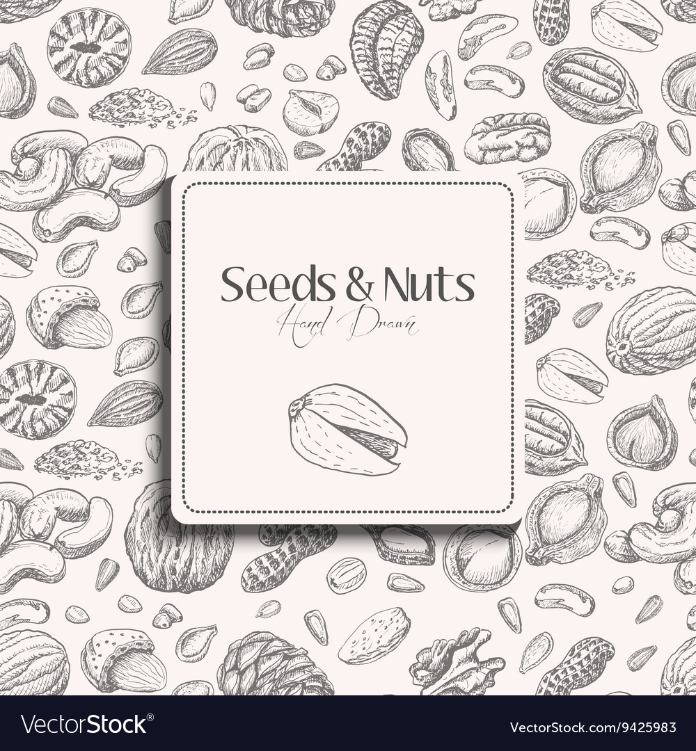 Seamless pattern with seeds and nuts on a white