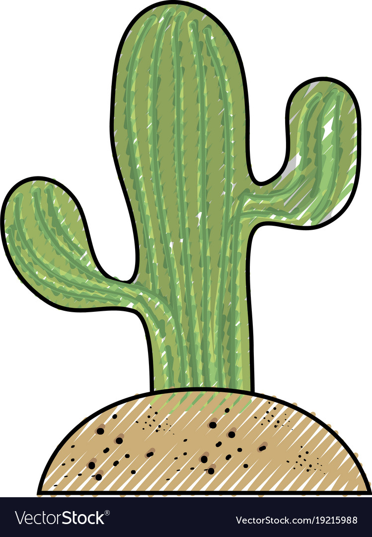 Cactus in the soil Royalty Free Vector Image - VectorStock