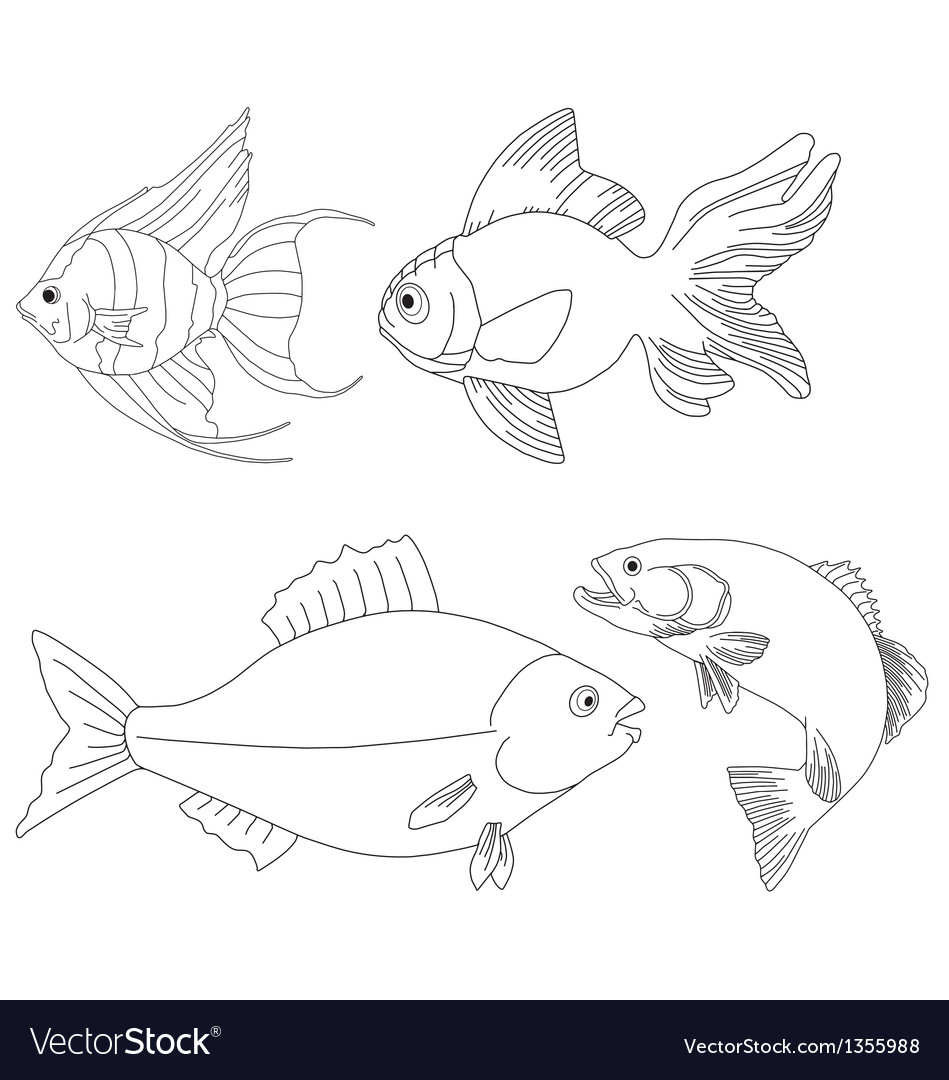 Fish Royalty Free Vector Image - VectorStock