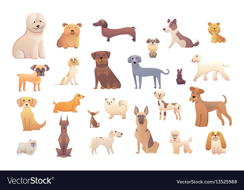 Group of purebred dogs for dog Royalty Free Vector Image