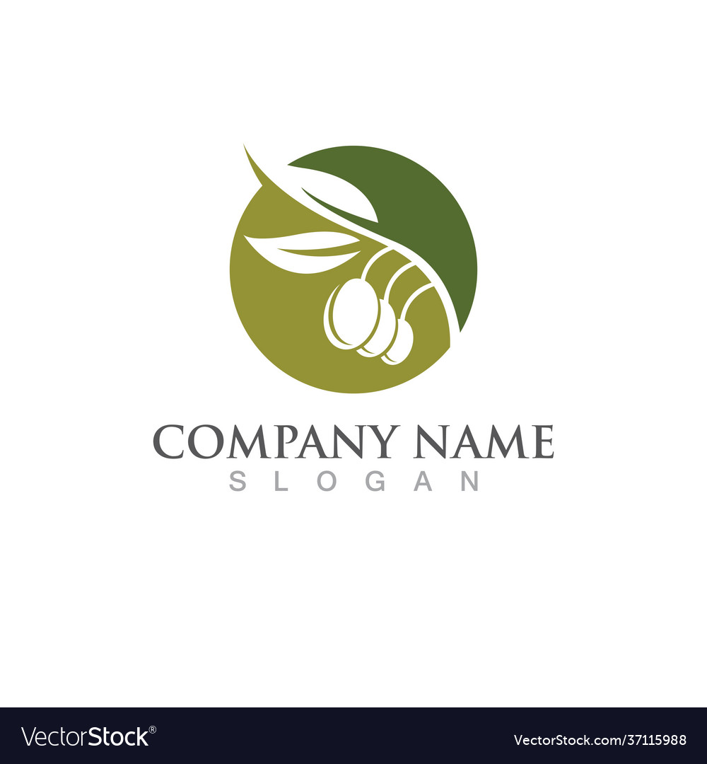Olive tree Royalty Free Vector Image - VectorStock