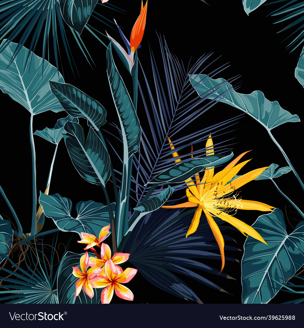 Tropical vintage palm monstera plant strelitzi vector image Tropical vintage palm monstera plant strelitzi