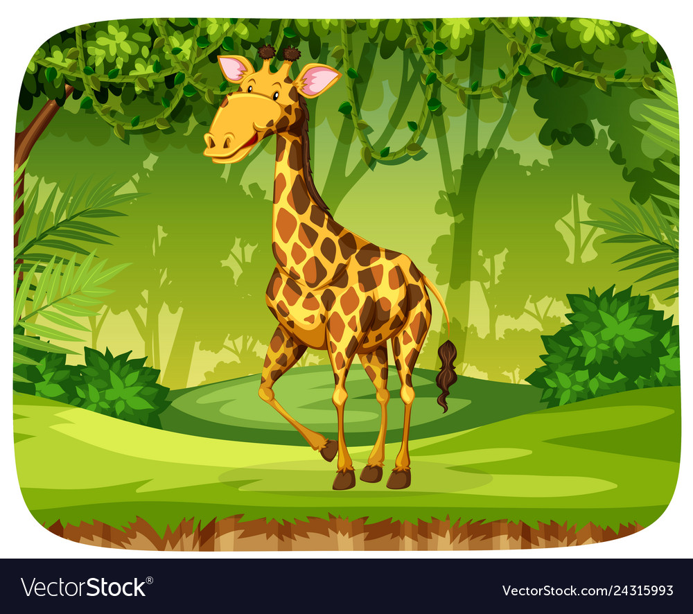 A giraffe in the forest Royalty Free Vector Image