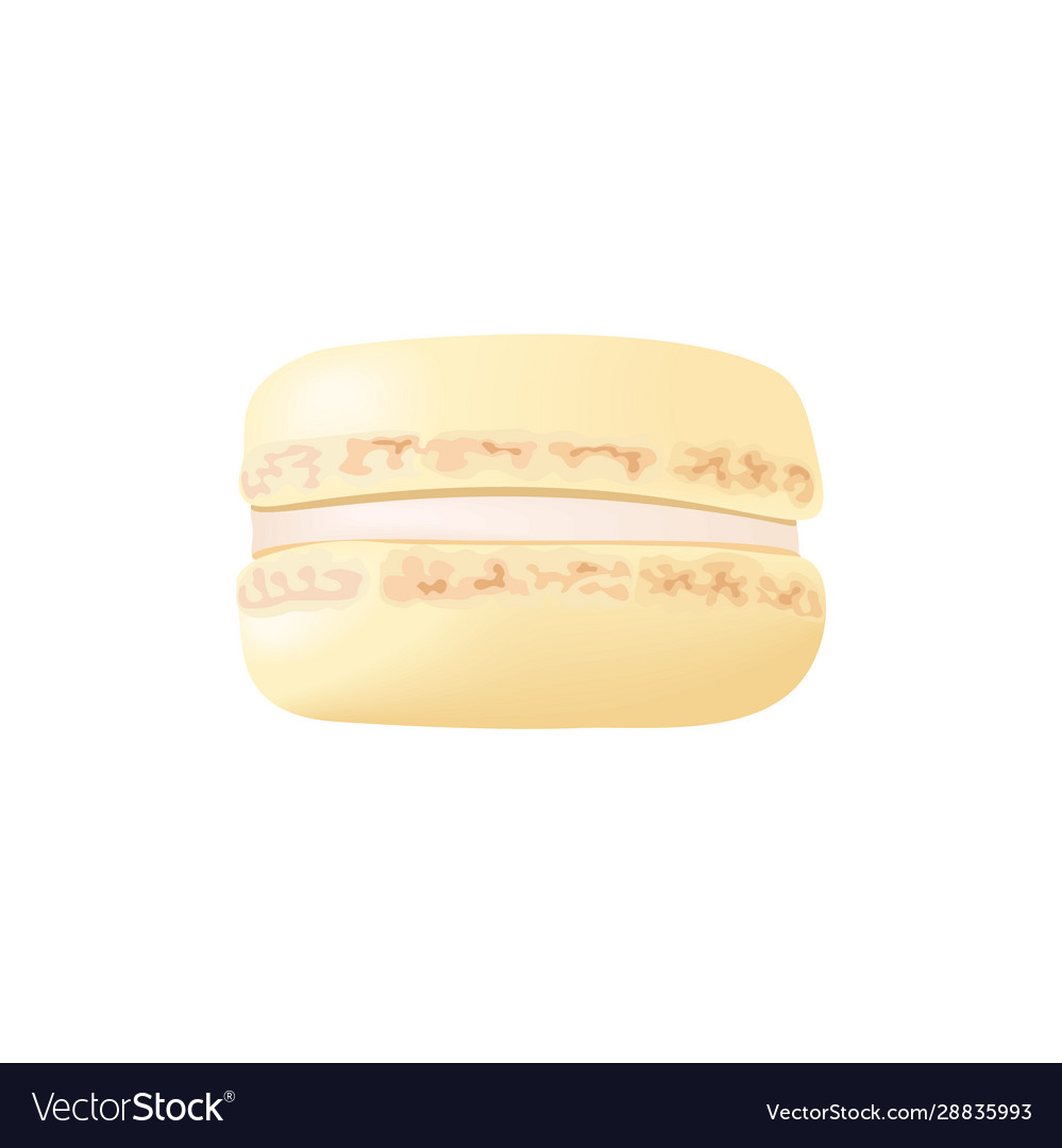 Cute yellow lemon macaroon cake macaron