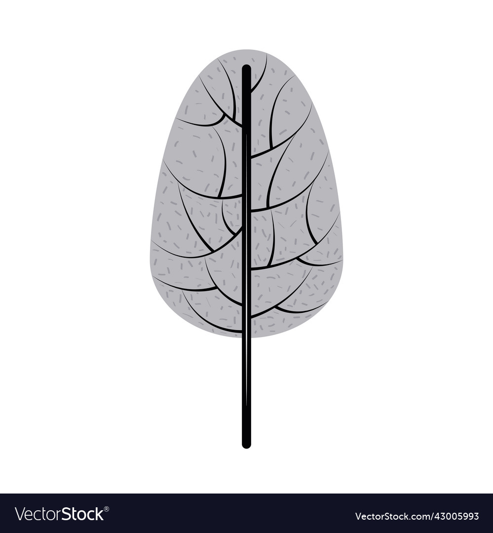 Texture rustic tree