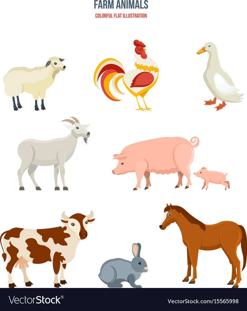 Set of different farm animals on white background Vector Image