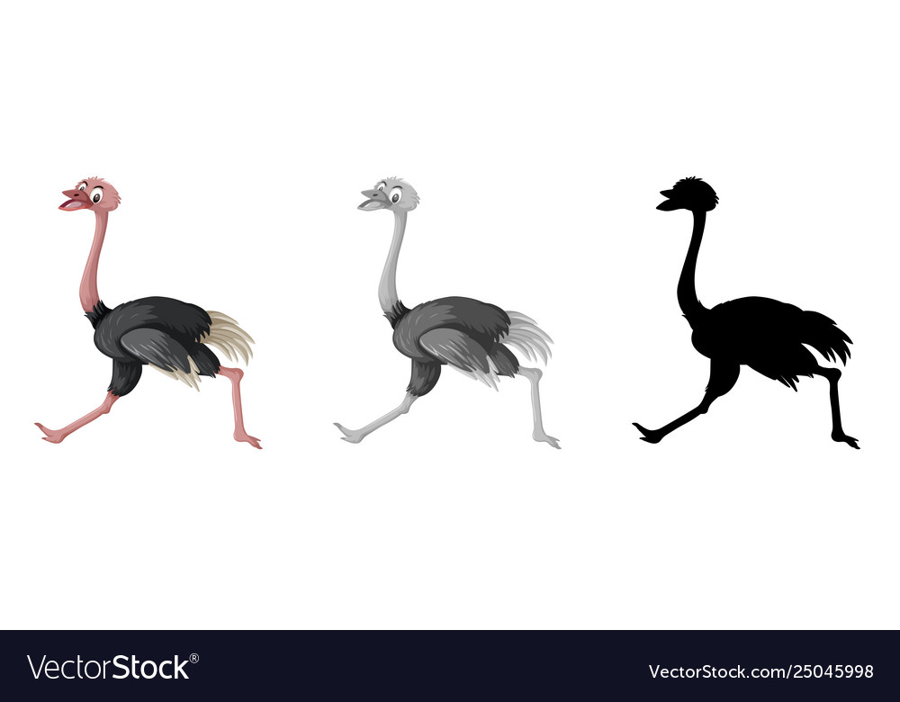 Set ostrich character