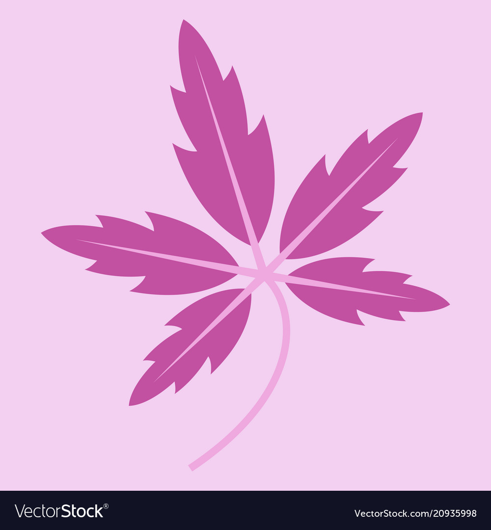 Tree leaf in flat style vector image Tree leaf in flat style