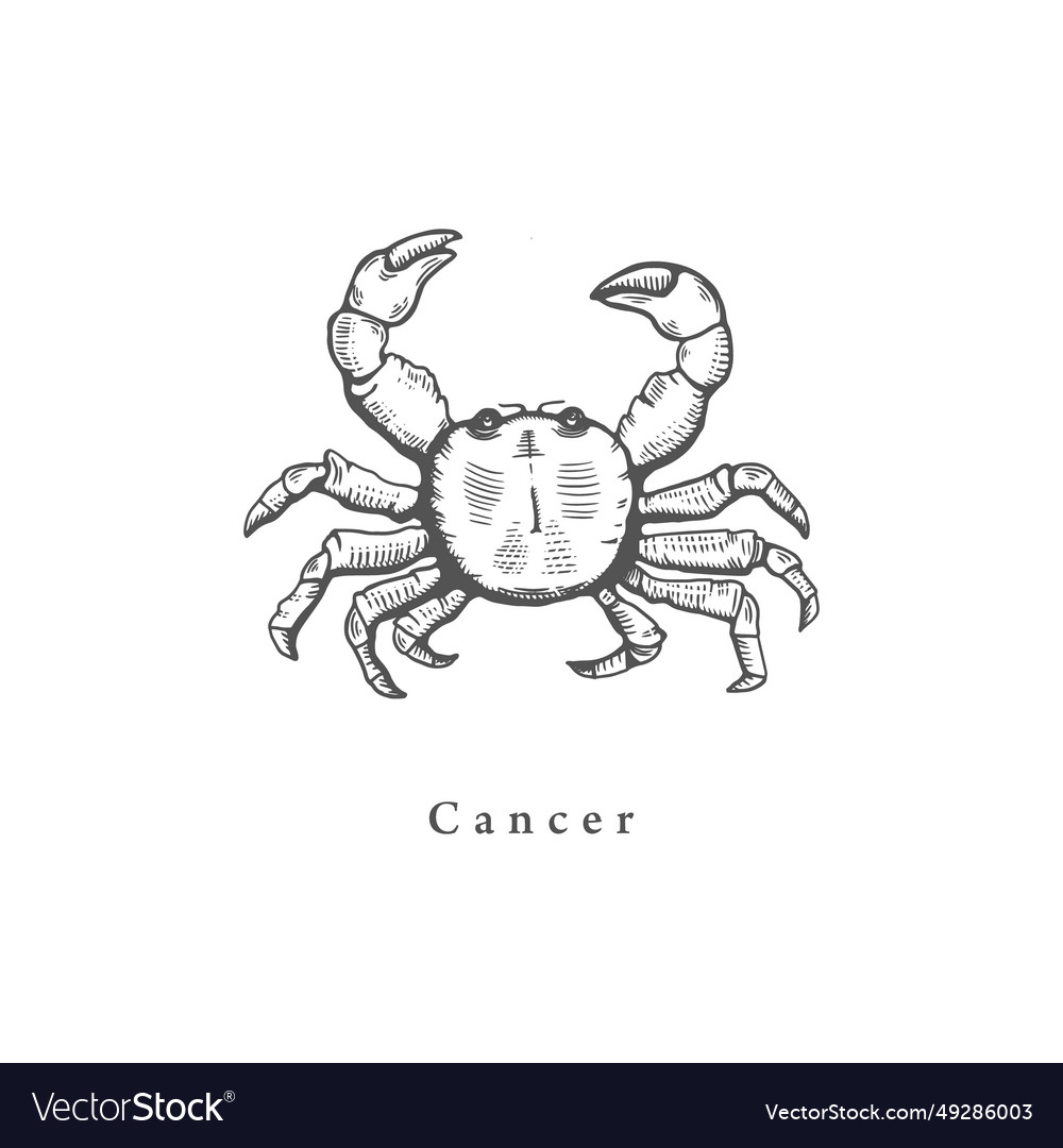 Cancer zodiac symbol hand drawn