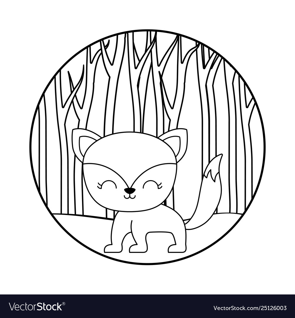 Cute fox animal in forest scene