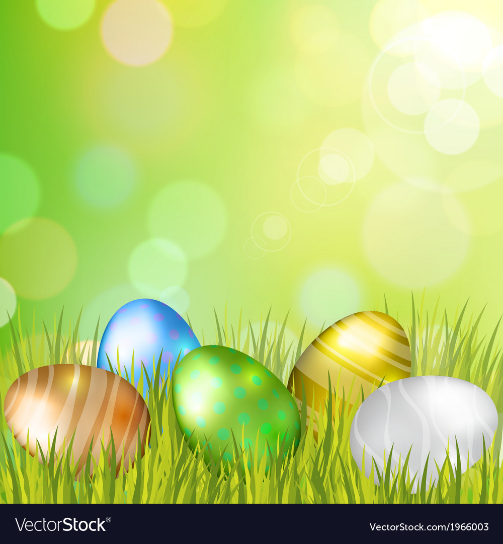 Easter bokeh background with eggs on meadow Vector Image