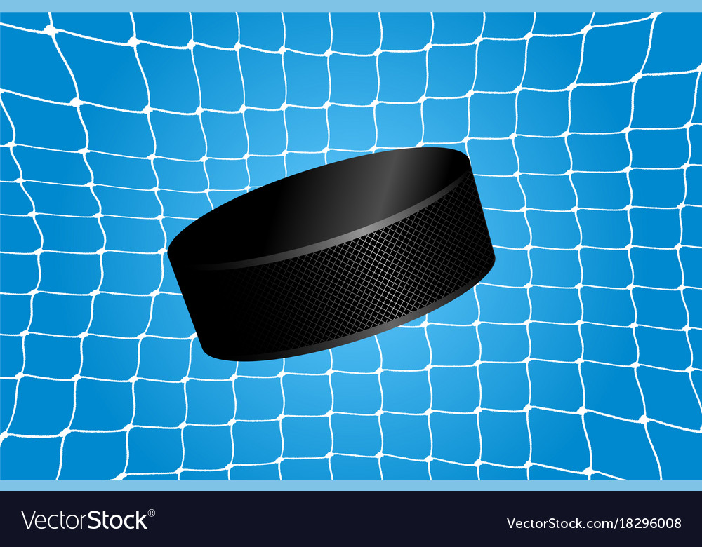 Goal a hockey puck in net Royalty Free Vector Image