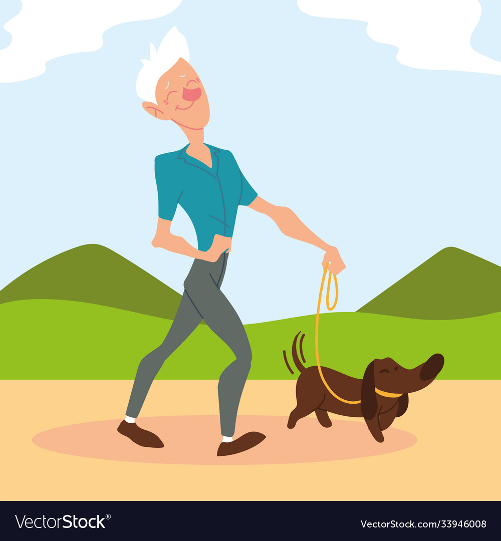 how-long-to-walk-elderly-dog