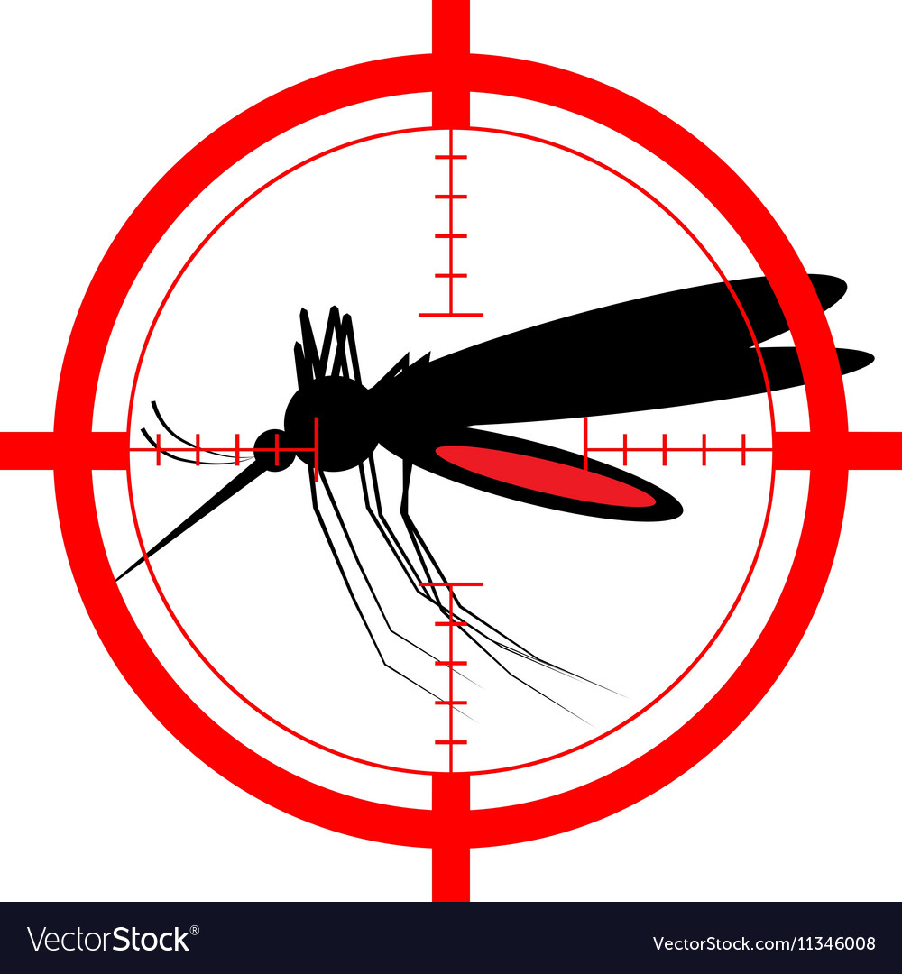 Target on mosquito