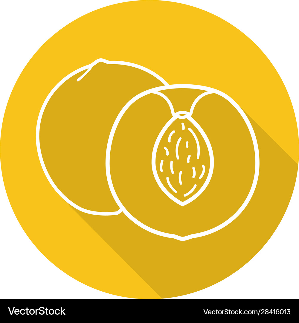 Apricot flat linear long shadow icon Royalty Free Vector