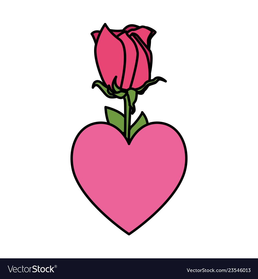 Beautiful rose flower with heart love Royalty Free Vector