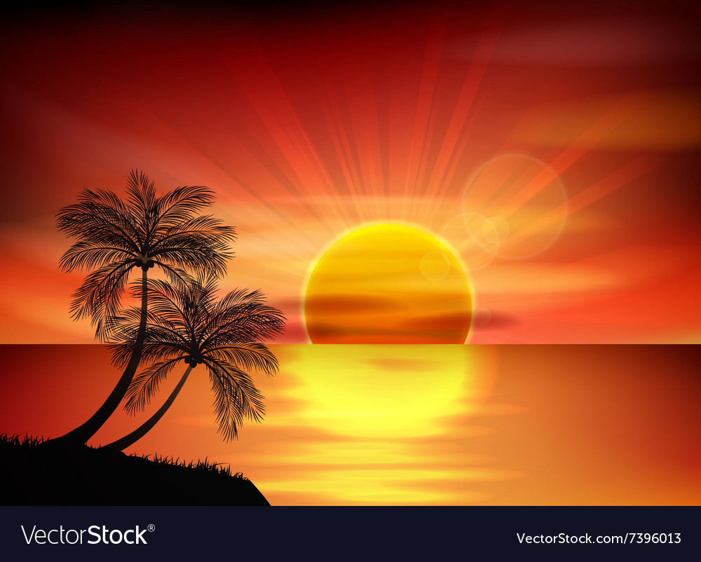 Tropical Sunset Palm Tree