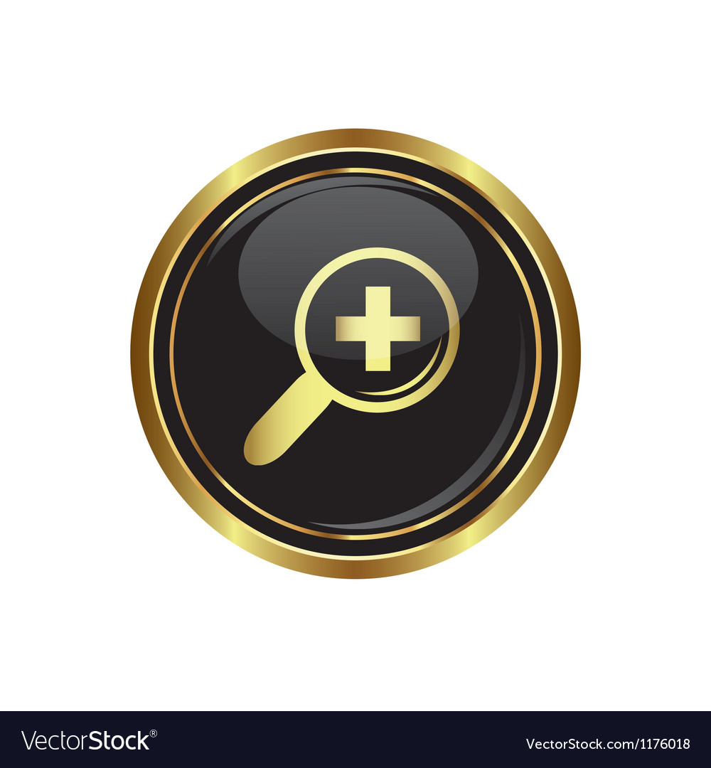 Zoom icon Royalty Free Vector Image - VectorStock