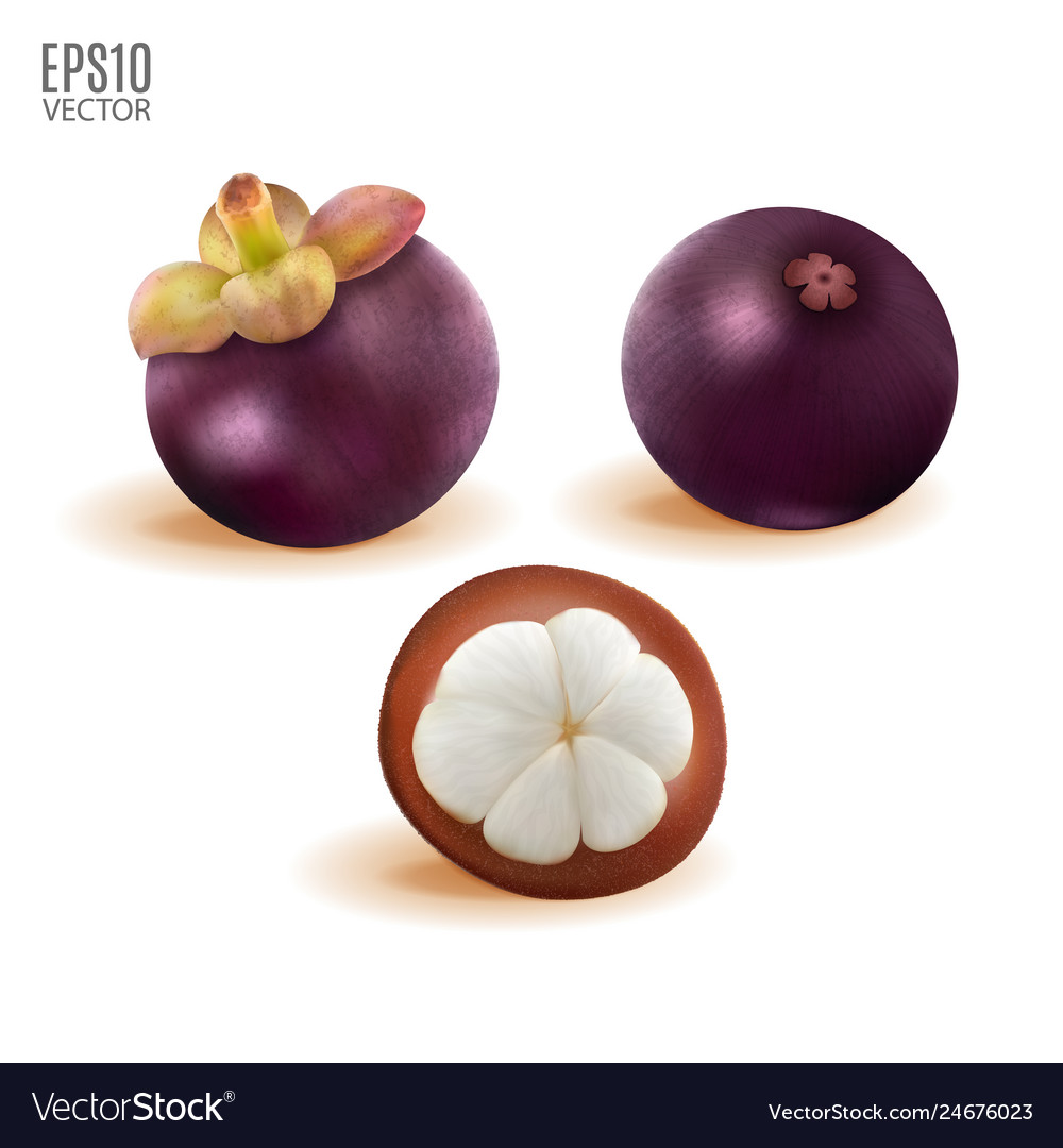 Ripe mangosteen set isolated on white