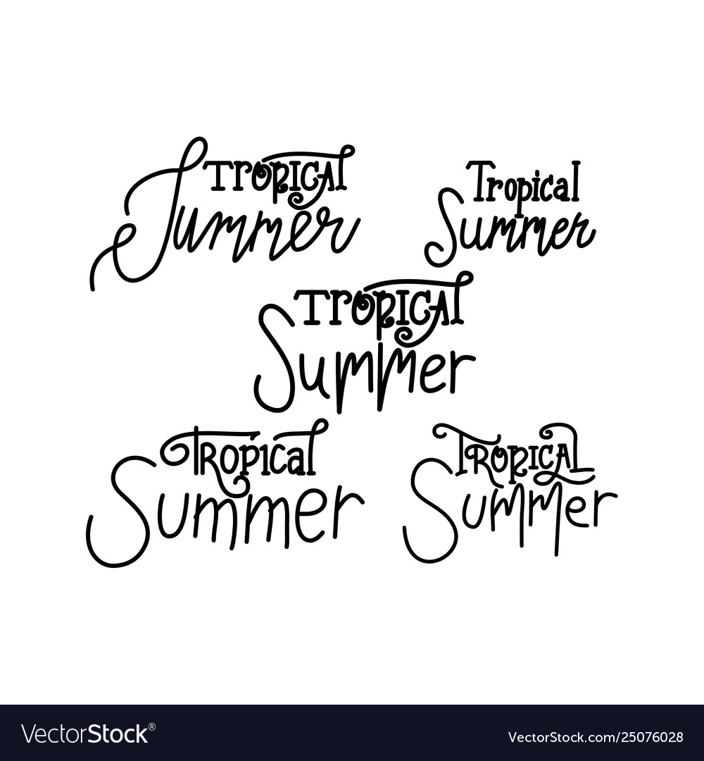 Tropical summer script text design template