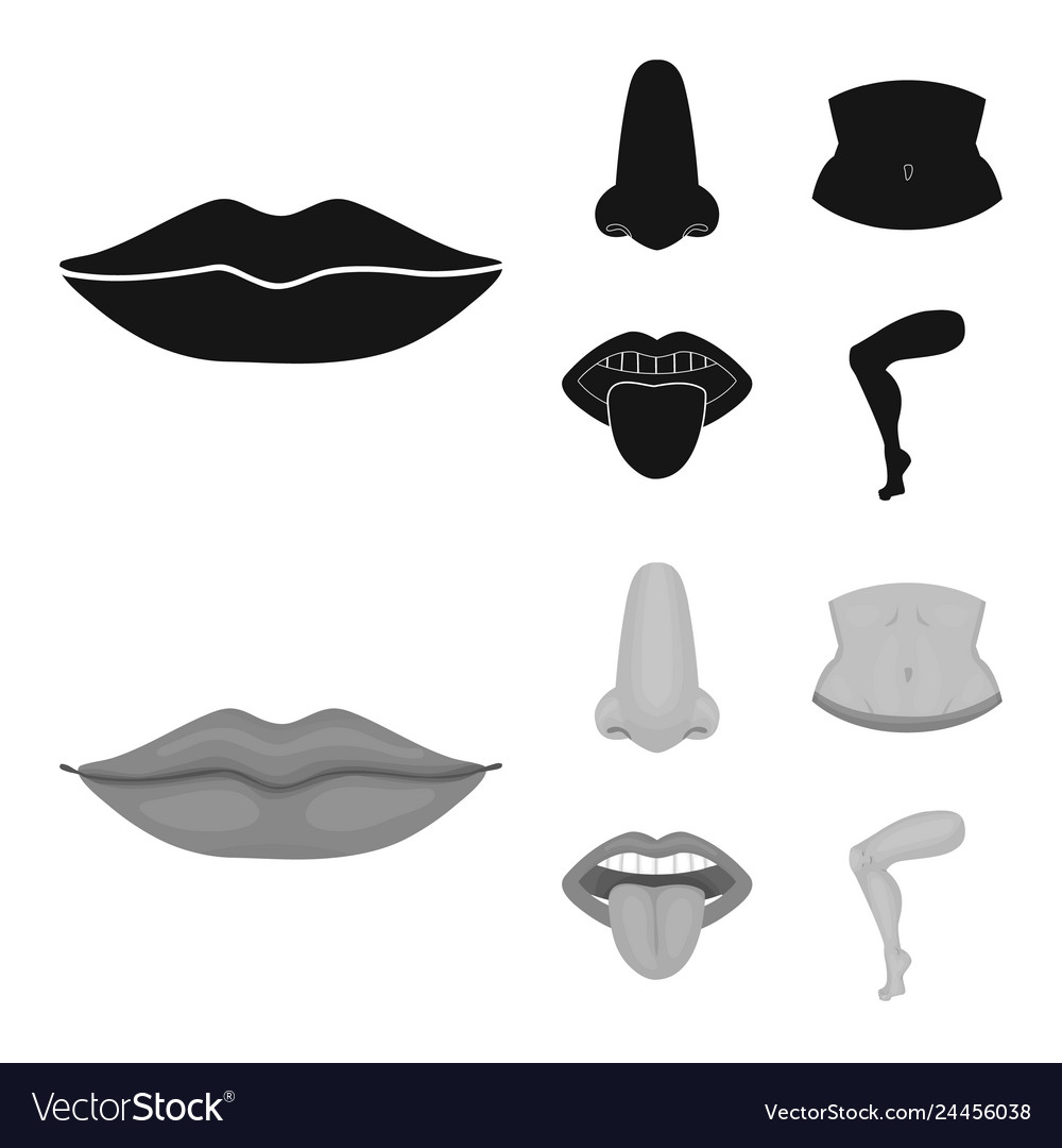 Design of body and part symbol set vector image Design of body and part symbol set