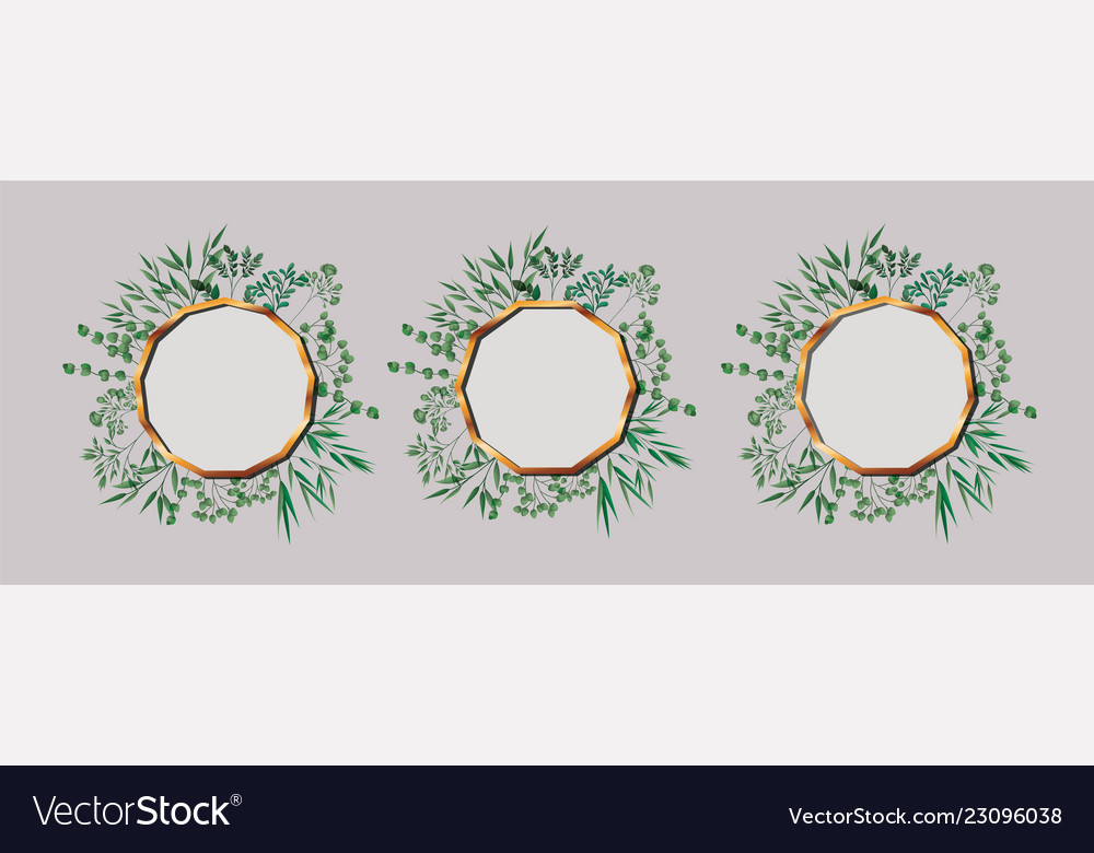 Set of geometrics golden frames and leafs