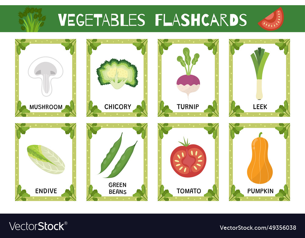 Vegetables flashcards set flash cards collection Vector Image