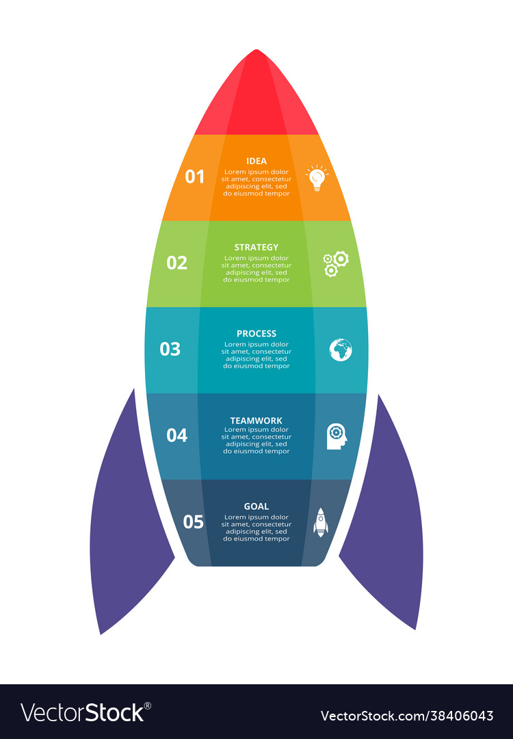 Label infographic design with 5 options or steps vector image Label infographic design with 5 options or steps