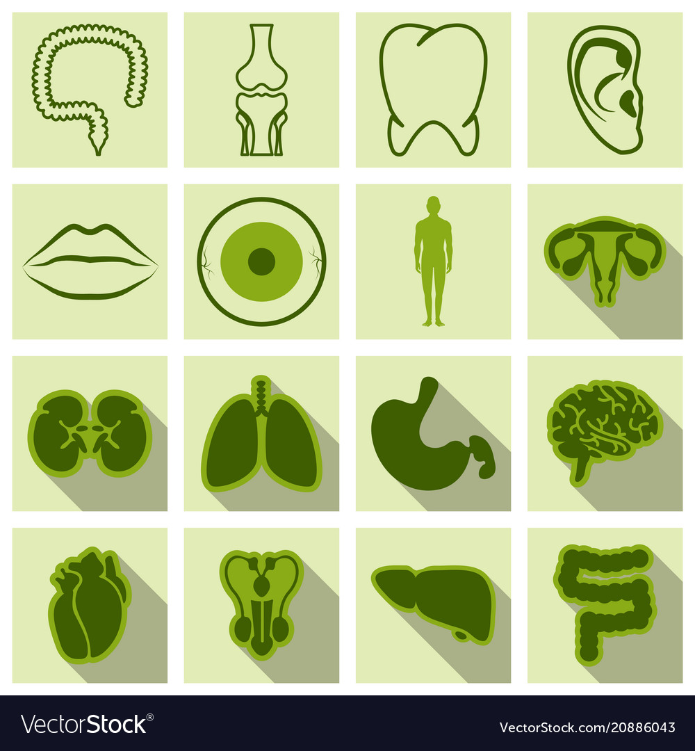 Set of medicine icons in flat style with shadow