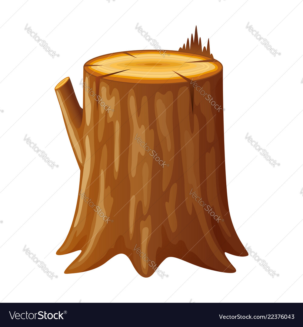 Tree wooden stump with rings and roots