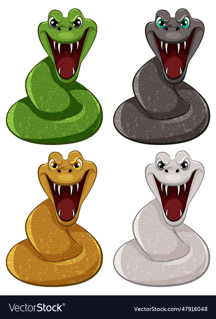 Four python snakes