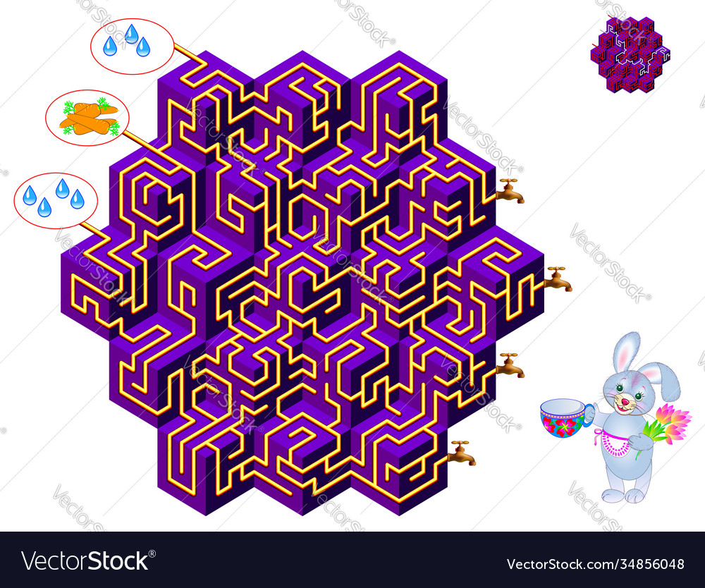 Logical puzzle game with labyrinth for children vector image Logical puzzle game with labyrinth for children