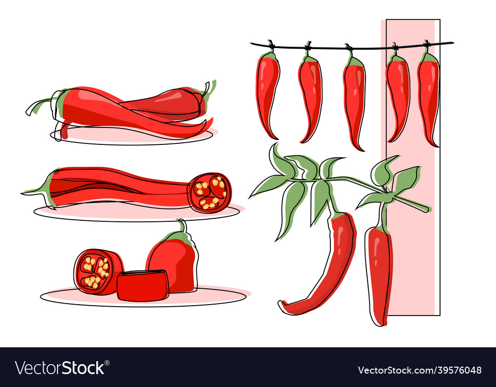 Set of chili pepper hanging and cut as a food