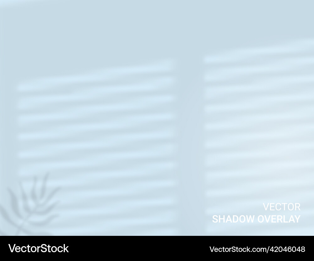 Window shadow overlay effect indoor background Vector Image