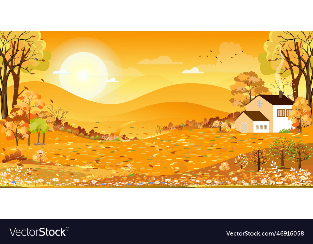 Autumn fields landscape