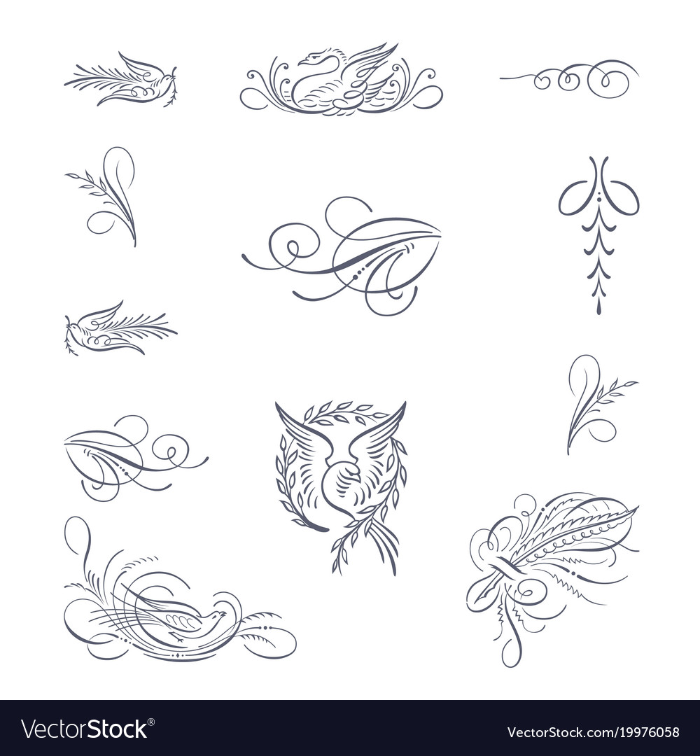 Set of decorative flourish ornaments