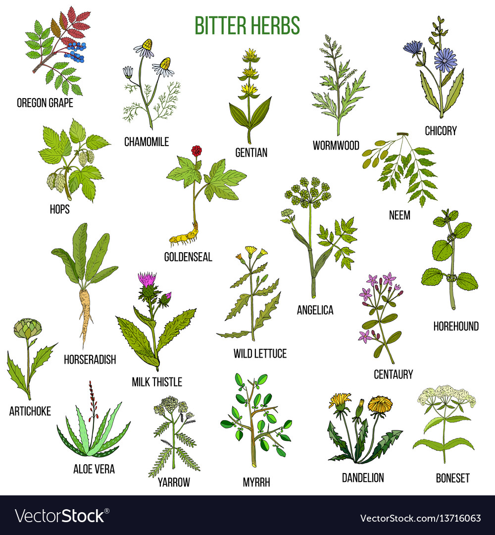 Bitter herbs collection