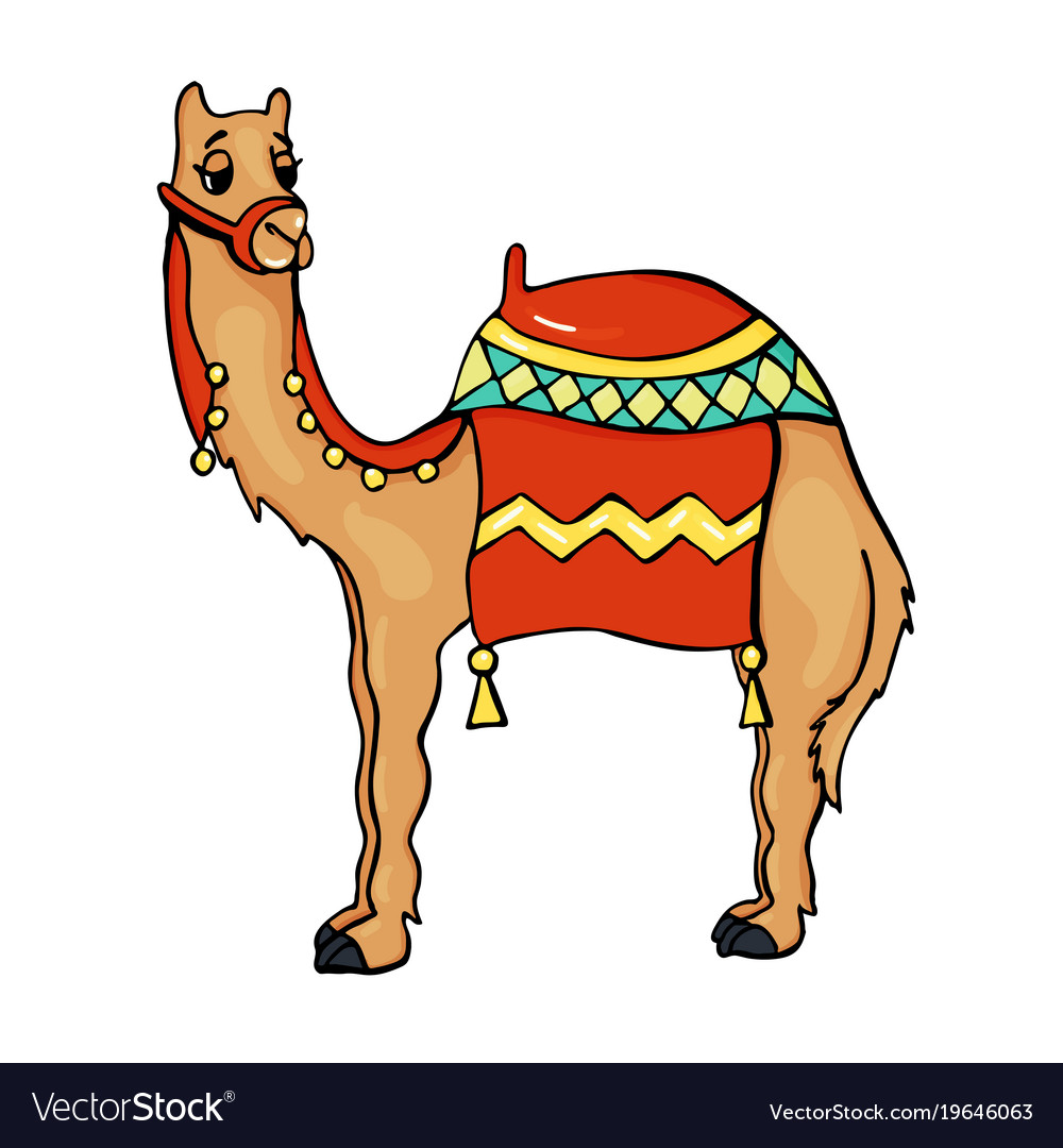 Camel animal in cartoon style Royalty Free Vector Image
