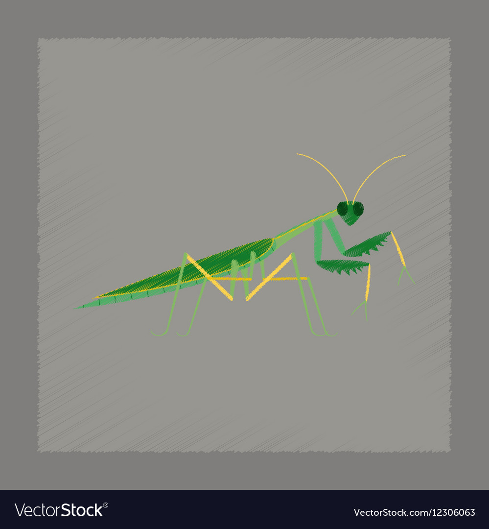 Flat shading style mantis