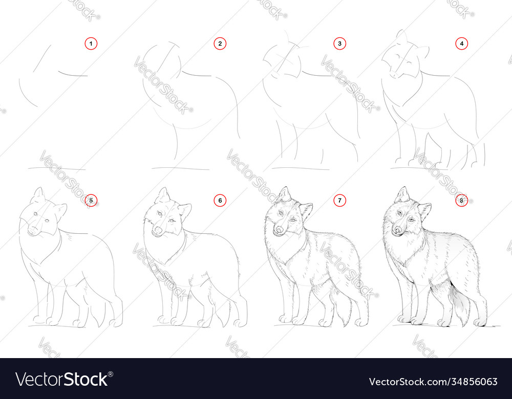 How to draw from nature step sketch Royalty Free Vector