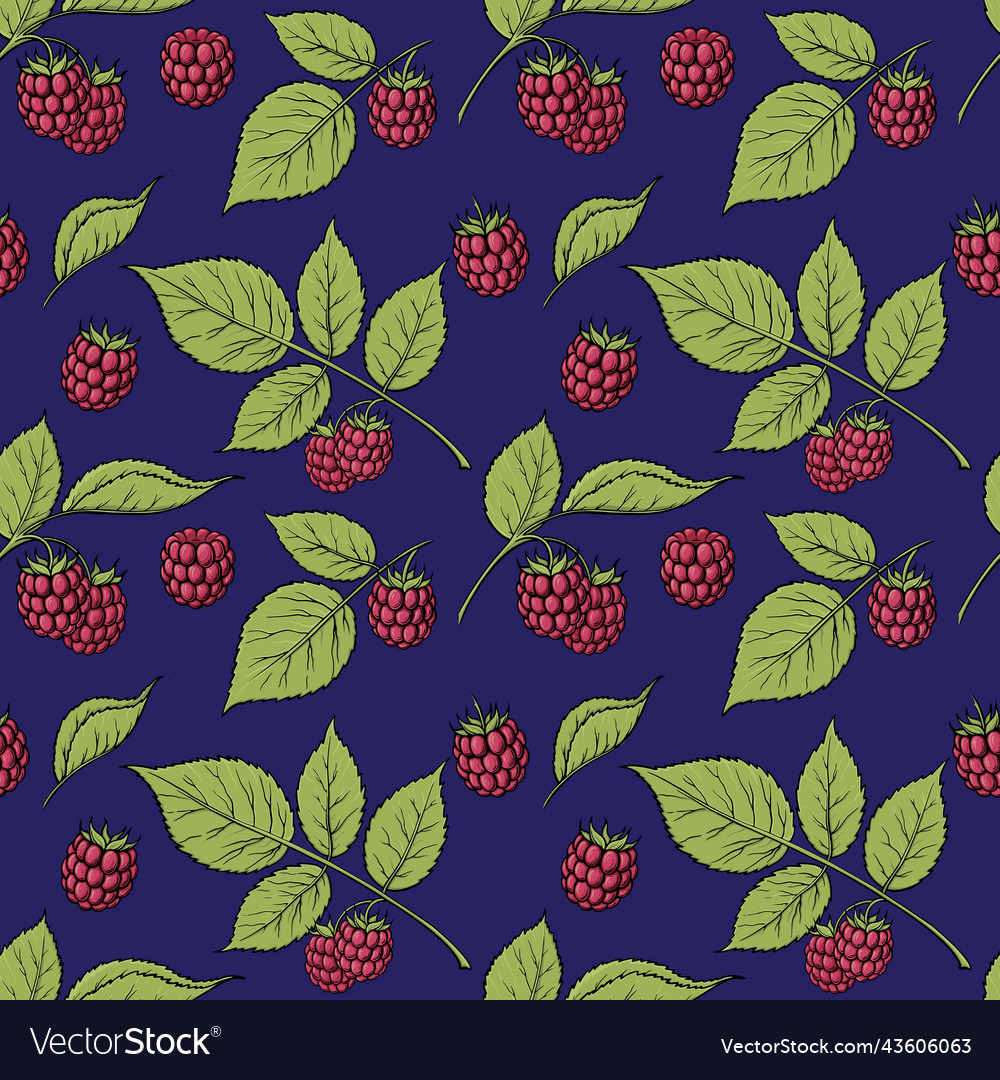 Raspberry seamless background Vector Image Raspberry seamless background