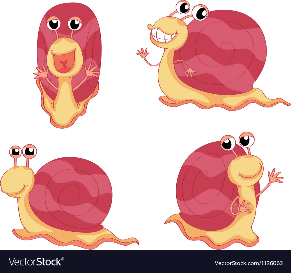 Snails Royalty Free Vector Image - VectorStock