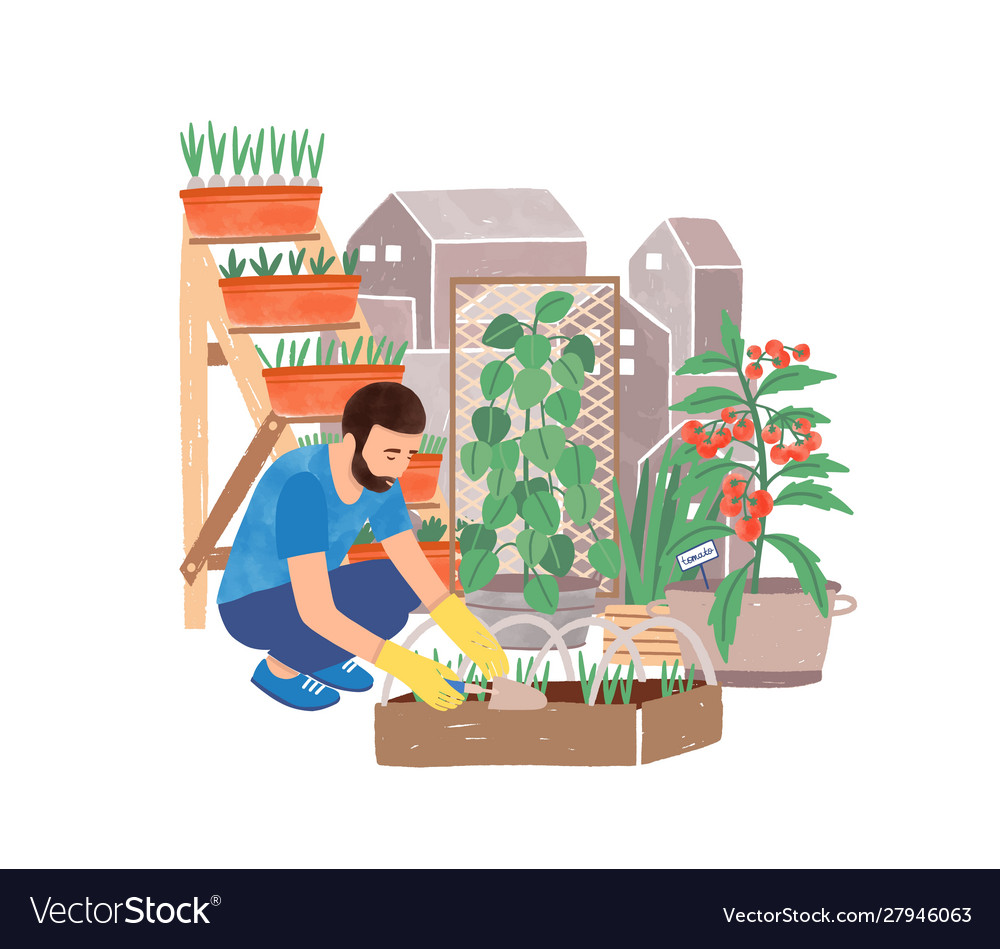 Urban Male Gardener Planting Kräuter