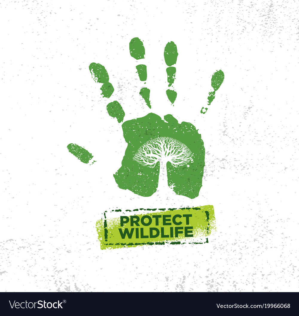 Protect the wild. Protect wildlife. protect wildlife топик. эко мотивация. protect wild nature.
