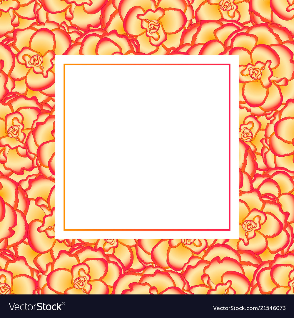 Begonia flower picotee sunburst banner card