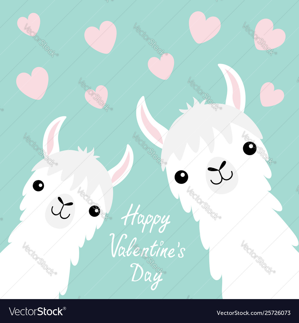 Happy valentines day llama alpaca animal set face