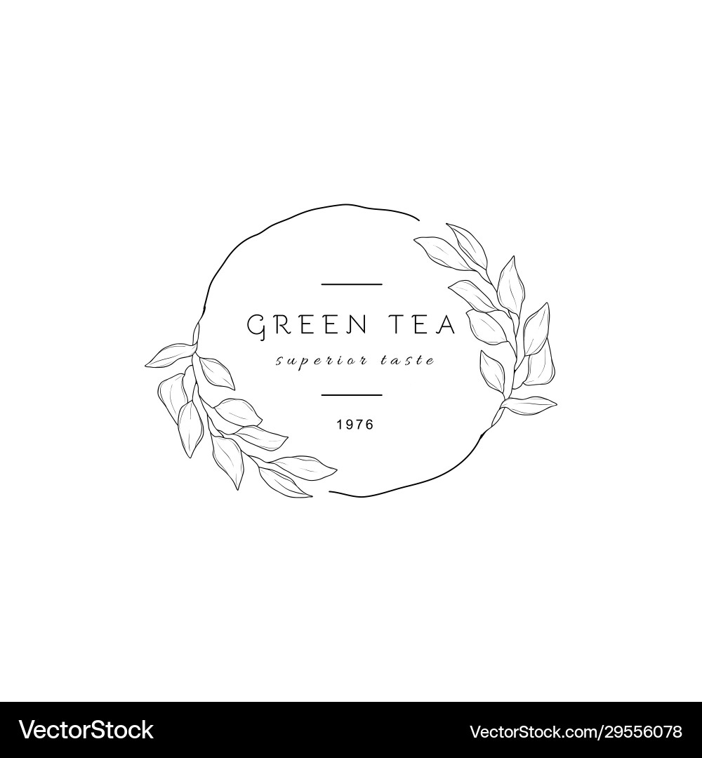 Set floral design elements Royalty Free Vector Image
